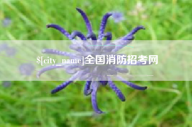 双鸭山全国消防招考网