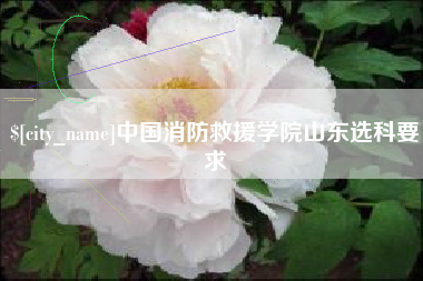 双鸭山中国消防救援学院山东选科要求