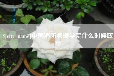 双鸭山中国消防救援学院什么时候政审