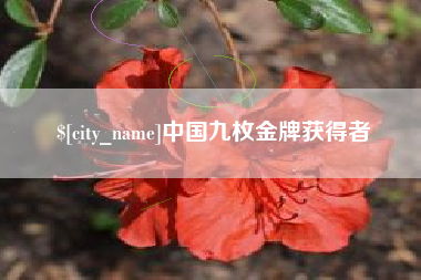 双鸭山中国九枚金牌获得者