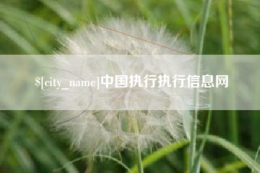 双鸭山中国执行执行信息网