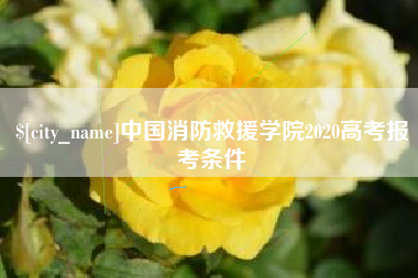 双鸭山中国消防救援学院2020高考报考条件