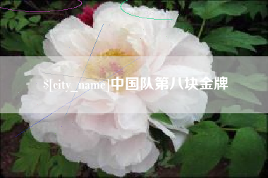 双鸭山中国队第八块金牌