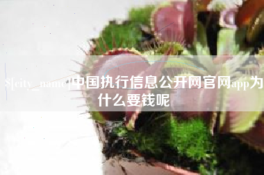 双鸭山中国执行信息公开网官网app为什么要钱呢