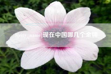 双鸭山现在中国哪几个金牌