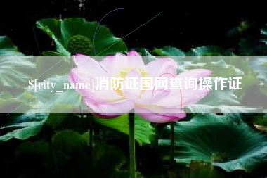 双鸭山消防证国网查询操作证