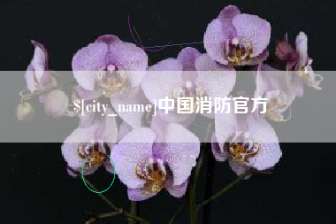 双鸭山中国消防官方