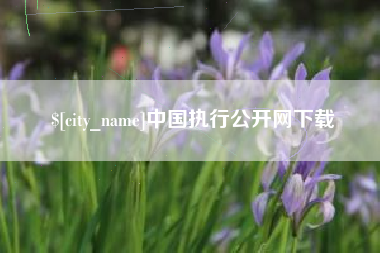 双鸭山中国执行公开网下载