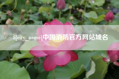 双鸭山中国消防官方网站域名