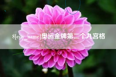 双鸭山奥运金牌第二个九宫格