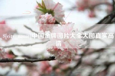 双鸭山中国金牌图片大全大图真实高清