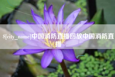 双鸭山中国消防直播回放中国消防直播