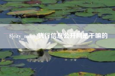 双鸭山执行信息公开网是干嘛的
