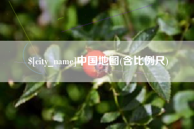 双鸭山中国地图(含比例尺)