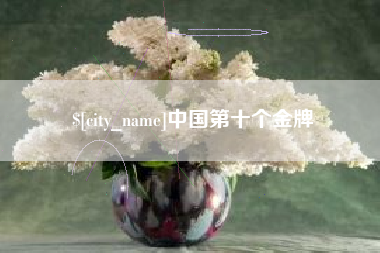 双鸭山中国第十个金牌