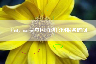双鸭山中国消防官网报名时间