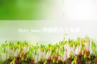 双鸭山中国的几个金牌
