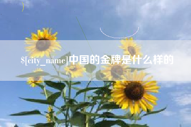 双鸭山中国的金牌是什么样的