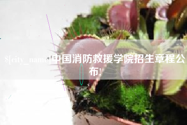 双鸭山中国消防救援学院招生章程公布!
