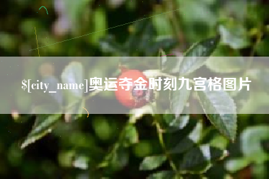 双鸭山奥运夺金时刻九宫格图片