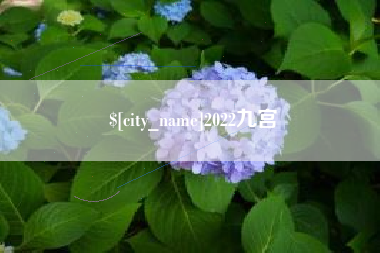 双鸭山2022九宫