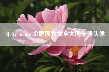 双鸭山金牌图片大全大图卡通头像