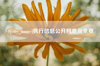 双鸭山执行信息公开网查询免费
