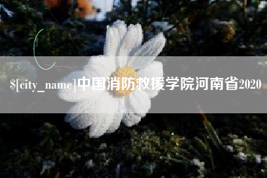 双鸭山中国消防救援学院河南省2020