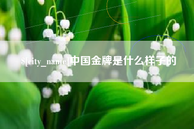 双鸭山中国金牌是什么样子的